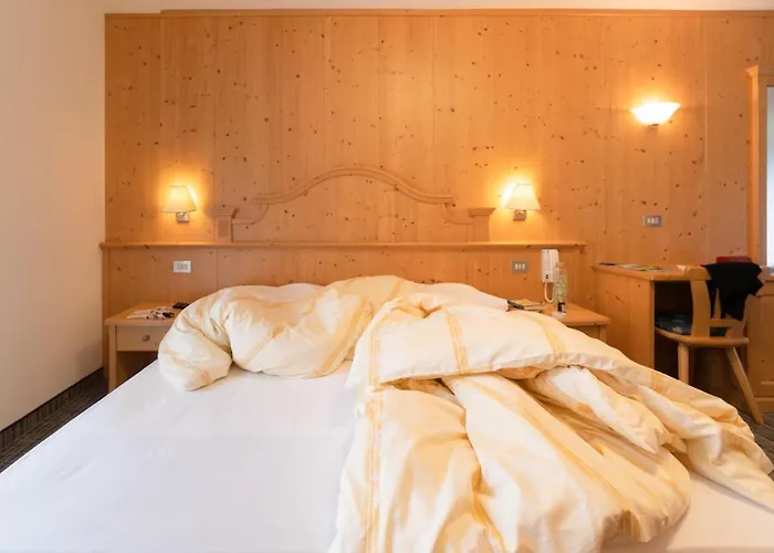 Albergo Canazei 住宿加早餐酒店 3*